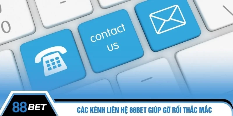 Lý do hội viên nên liên hệ với nhân viên nền tảng