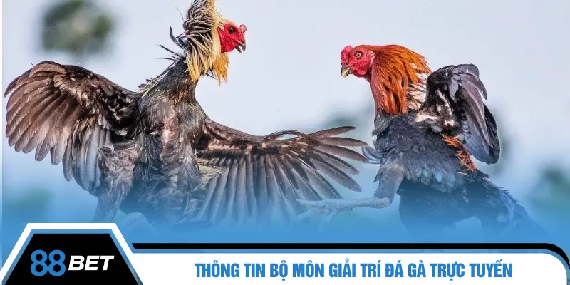 Thông tin bộ môn giải trí đá gà trực tuyến